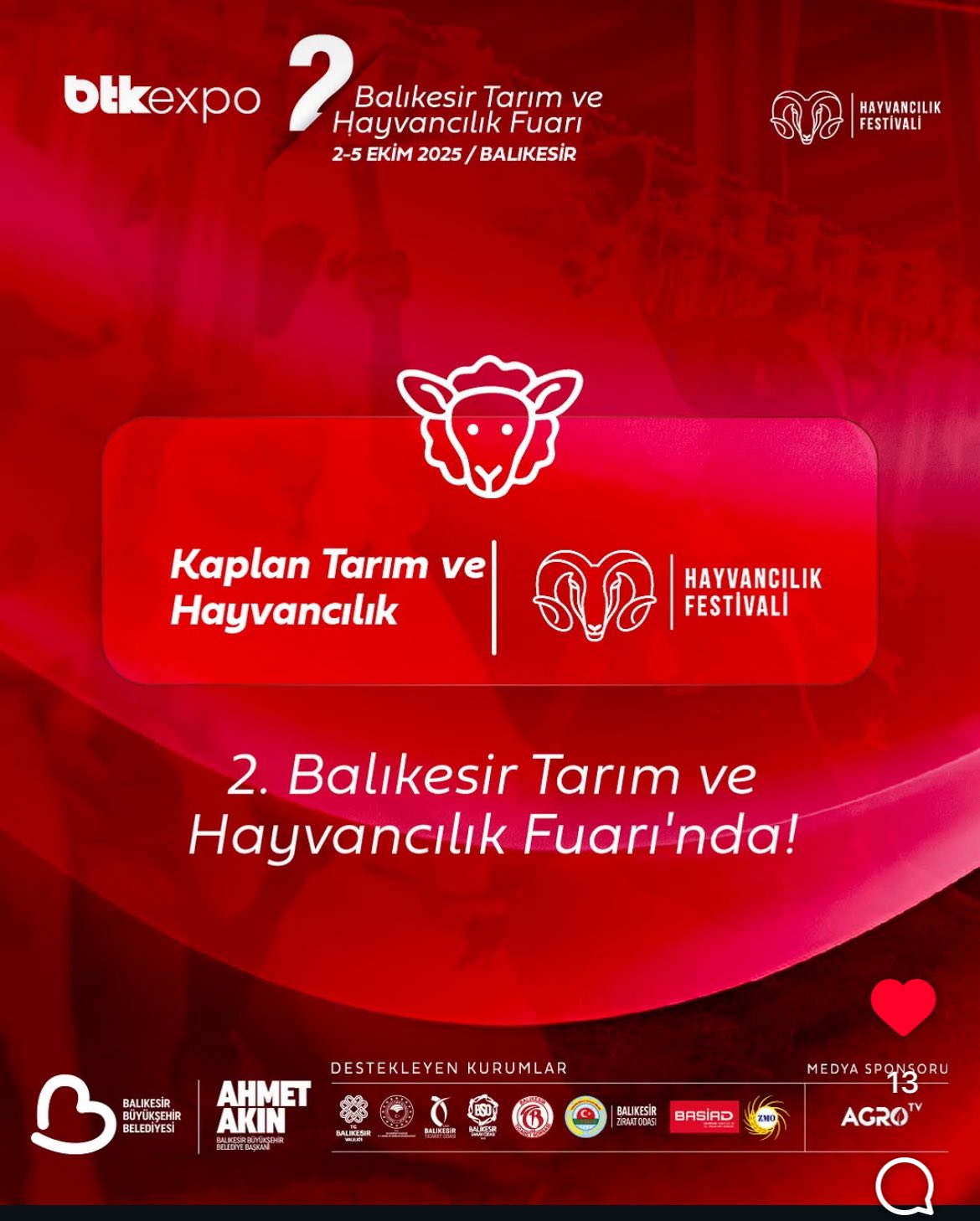 Balıkesir Tarım ve Hayvancılık Fuarı karesi — Merinos çiftliği